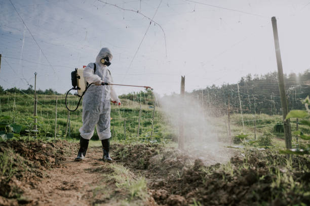 Best Pest Prevention Services  in Laurel Hill, NC