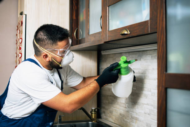Pest Prevention Services in Laurel Hill, NC