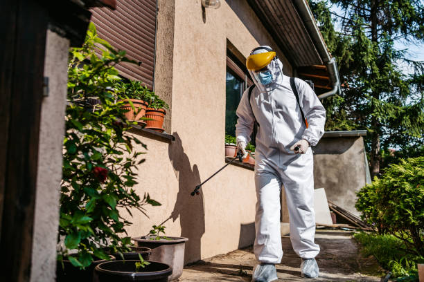 Best Ant Control Services  in Laurel Hill, NC