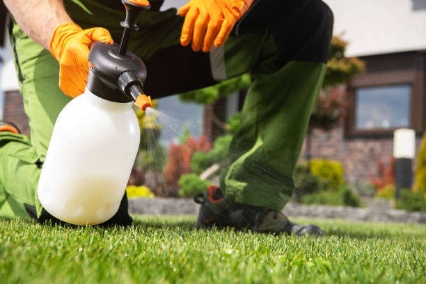 Best Rodent Control Near Me  in Laurel Hill, NC