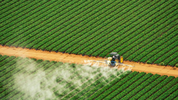 Pest Prevention Services in Laurel Hill, NC