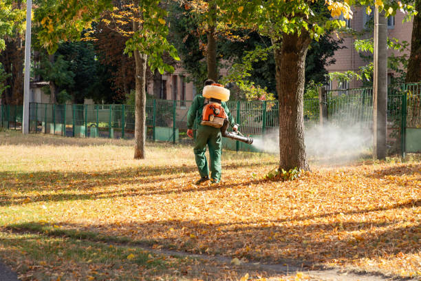 Best Cockroach Control Services  in Laurel Hill, NC