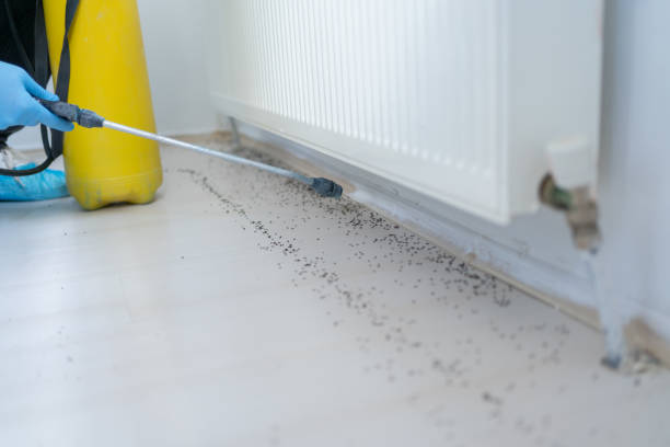 Best Pest Control Near Me  in Laurel Hill, NC