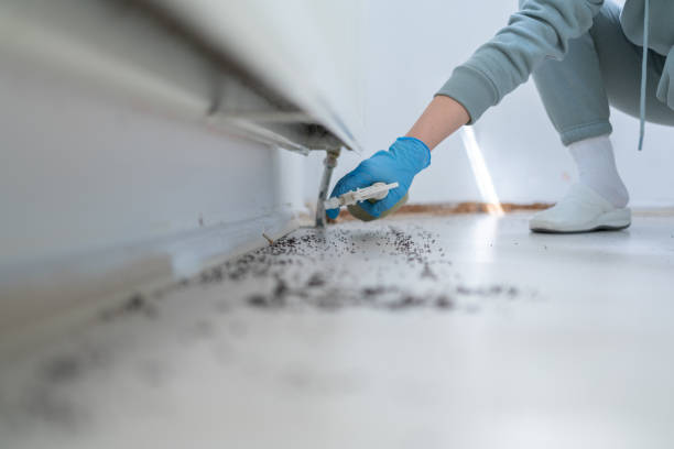 Best Wildlife Control Services  in Laurel Hill, NC