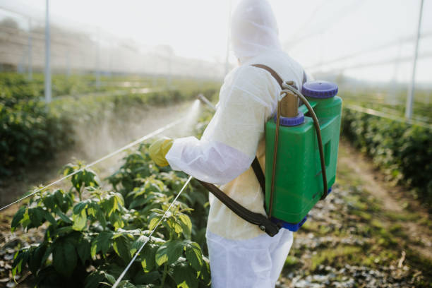 Best Bed Bug Extermination  in Laurel Hill, NC